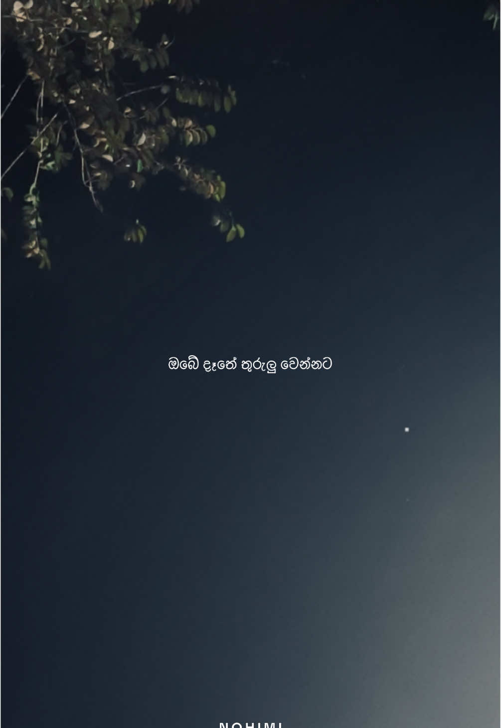 හන්තාන සිහිනේ 🥺🌔♥️ #NOHIMI #nohimi #නොහිමි #tiktok #tiktoktainment #whattowatch #blessed #sl #srilanka #fyp #foryou #whatsappstatus #oldsongs #emotionalstory #whatsapp #status #sinhalastatusvideo #sinhala #500k #Love #hanthanasihine 