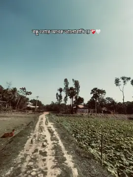LOVE YOU DOST ❤️‍🩹🤍 @☆ Casto•ᴠԩⲁḭḭ♡•☆ #bangladesh🇧🇩 #vairalvideo #fypシ゚ 
