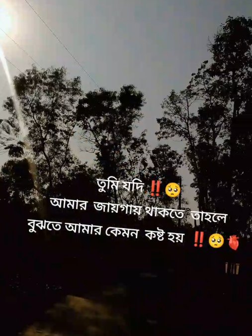 তুমি যদি আমার জায়গায় থাকতে তাহলে বুঝতে আমার কেমন কষ্ট  হয়  ❤️🫀🥺‼️