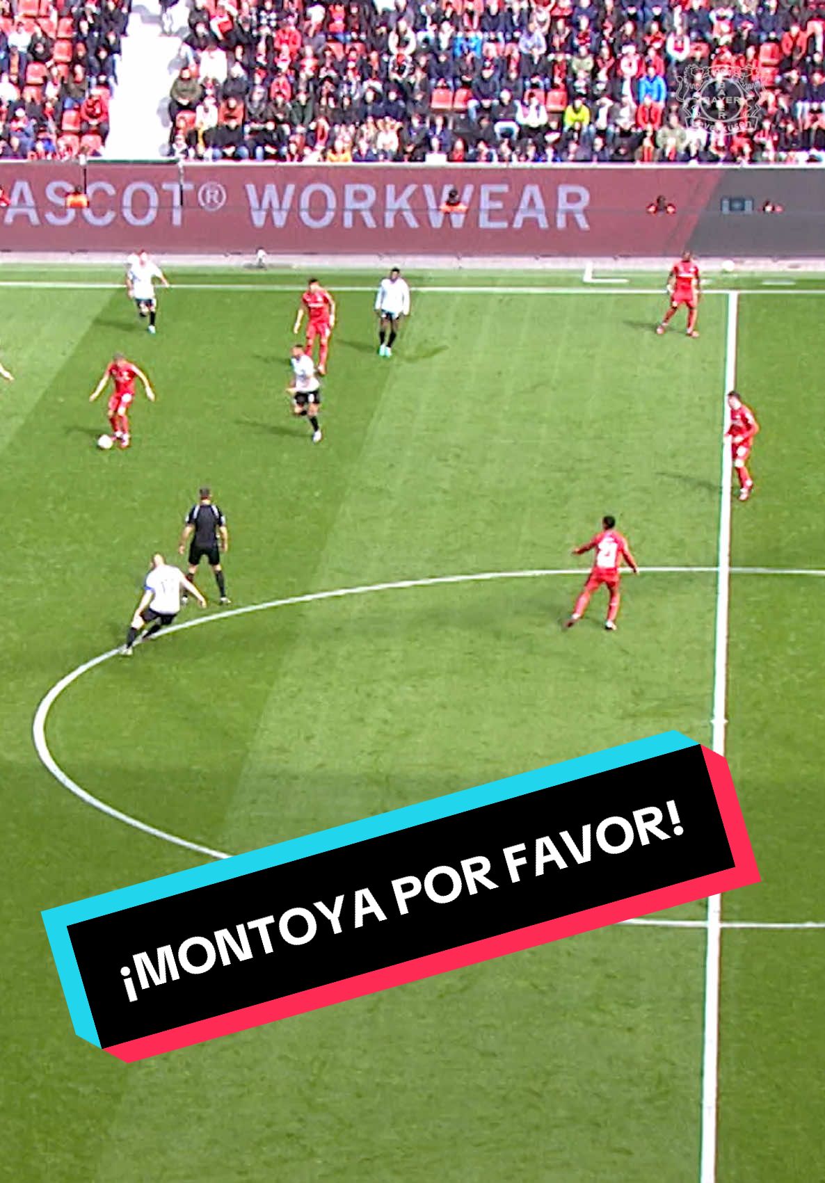 ¡MONTOYA POR FAVOR!  #Werkself #Adli #montoya 