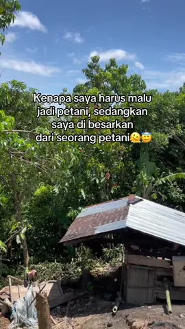 ☺️#katakata #storybugis #galaubrutal #anakpetani #kolaka #sulawesitenggara #lewarberanda #fypage 
