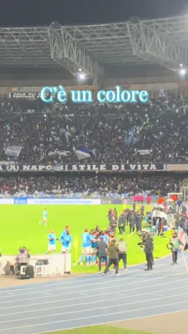 hay un color 💙 FORZA NAPOLI SEMPRE 💙 #napoli #sscnapoli #ForzaNapoliSempre #stadiodiegoarmandomaradona #maradona #ultras #footbal #napolinelcuore 
