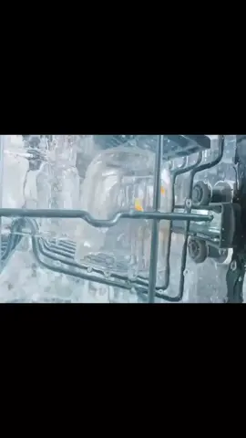 Transparent dishwasher - What’s happening inside?
