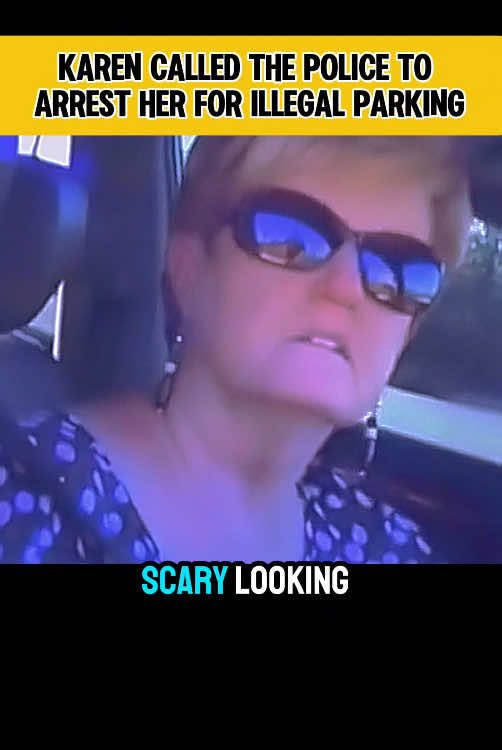 #viral #trending #foryou #us #lawsuit #bodycam #pullover #fypシ #karen #sherriff #fyp #ringdoorbell 
