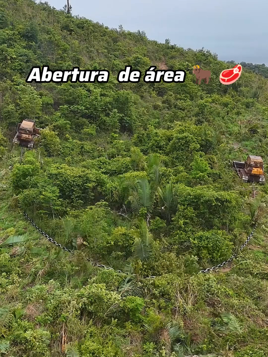 Atividade devidamente autorizada pelos órgãos competentes. 🤠🇧🇷🚀 #agro #fazenda #rural #pecuaria #gado #agriculture 