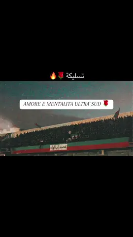 AMOR E MENTALITA ULTRA’ SUD #mouloudia_virage_sud🇮🇹🙏 #mouloudia_1921❤💚 #مولودية🇧🇬🇧🇬_نعشق_فيهااا💚 #حبوعقلية🌹 #fyp #باب_الواد #amouretmentalité🇮🇹 #حبوعقلية 
