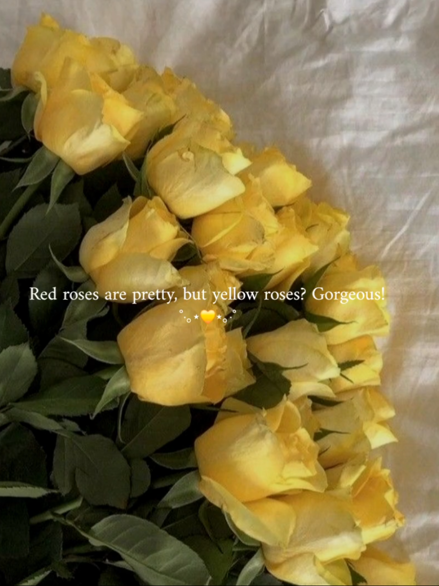 Gorgeous ✨️  . . . idea/requested by: @IDK  . . . /all pictures are taken from Pinterest, credits are due to the owners!/ . . . Tags ˚‧｡⋆🌻⋆｡‧˚ #from #foryoupage #yellow #roses #aesthetic #pinterest #pinterestaesthetic #flowers #pretty #beautiful #relatable #trendingvideo 