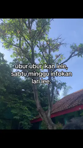 #binsik #binsikbareng #pelarikonten #fyp 