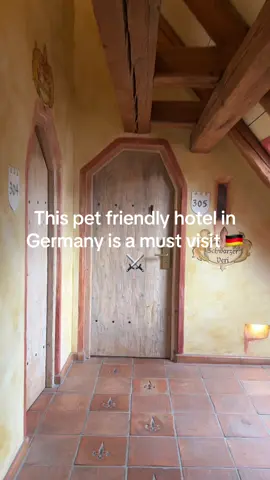 Hotel Arthus is a very unique place, and they allow you to bring your furry companions, too! ❤️✨ Have you ever stayed in a medieval themed hotel? #catsoftiktok #cat #mainecoon #mainecoonkitten #mainecooncat #travellingcat #petfriendlyhotel #germanhotel #germany #travelingermany #travelwithpets #medievalhotel #medievaltiktok #medieval 