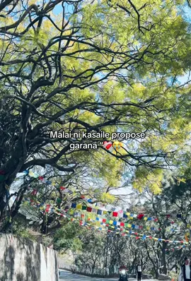Malai ni kasaile propose garana “❤️‍🩹😭#fyp #sabi 