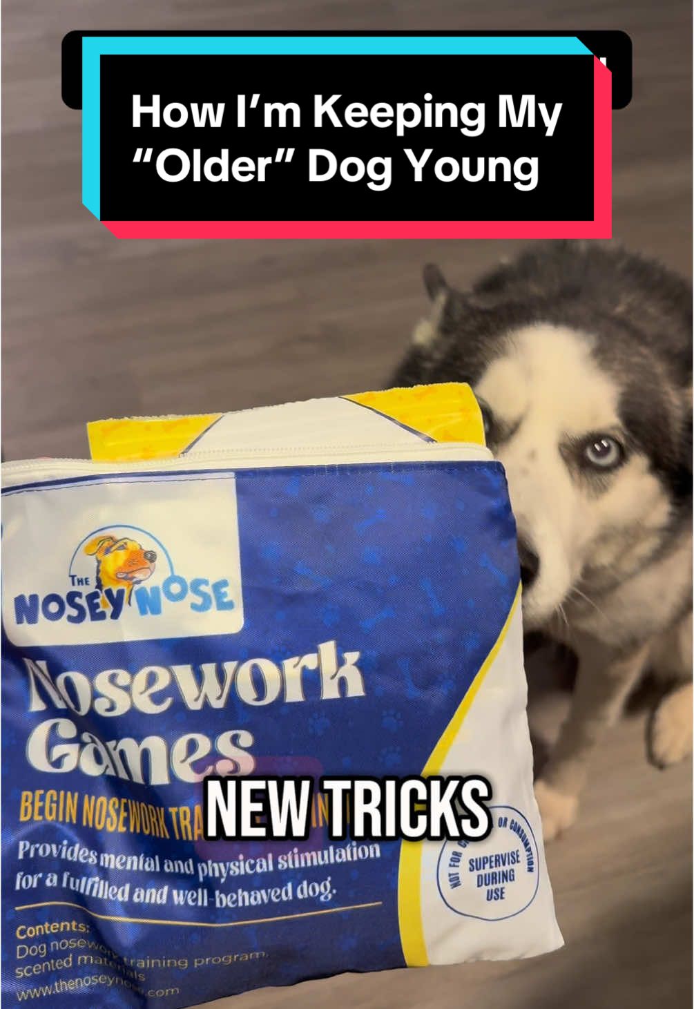 🐶💡 Keeping my senior pups happy, healthy, and engaged! My dogs are turning 10 this year, so I’m always looking for ways to keep their minds sharp and their bodies active. That’s why I got them Nosework Games—and they’re OBSESSED! 🐾✨ It’s a mentally stimulating scent game that helps them use their natural sniffing instincts to track and find hidden treats. 🦴👃 Not only does it keep them entertained, but it also supports brain health, problem-solving, and confidence—at ANY age! 💪🐕 If you want to challenge your dog’s mind and give them a fun way to stay active, grab this now! 🛍️🔥 #SeniorDogLife #BrainGamesForDogs #NoseworkTraining #DogEnrichment #HealthyAging #HappyPup #TikTokShop #Trending  #tiktokshop #tiktokshopfinds  #onsale #onsalenow #onsale🔥🔥🔥🔥 #flashsale #flashsales #flashsaletiktok #ValentinesDay #loveisintheair #freshstartessentials #creatorsearchinsights #valentinesdaypresent #Valentinesdaymakeup #spoilyourself #loveatfirstfind 