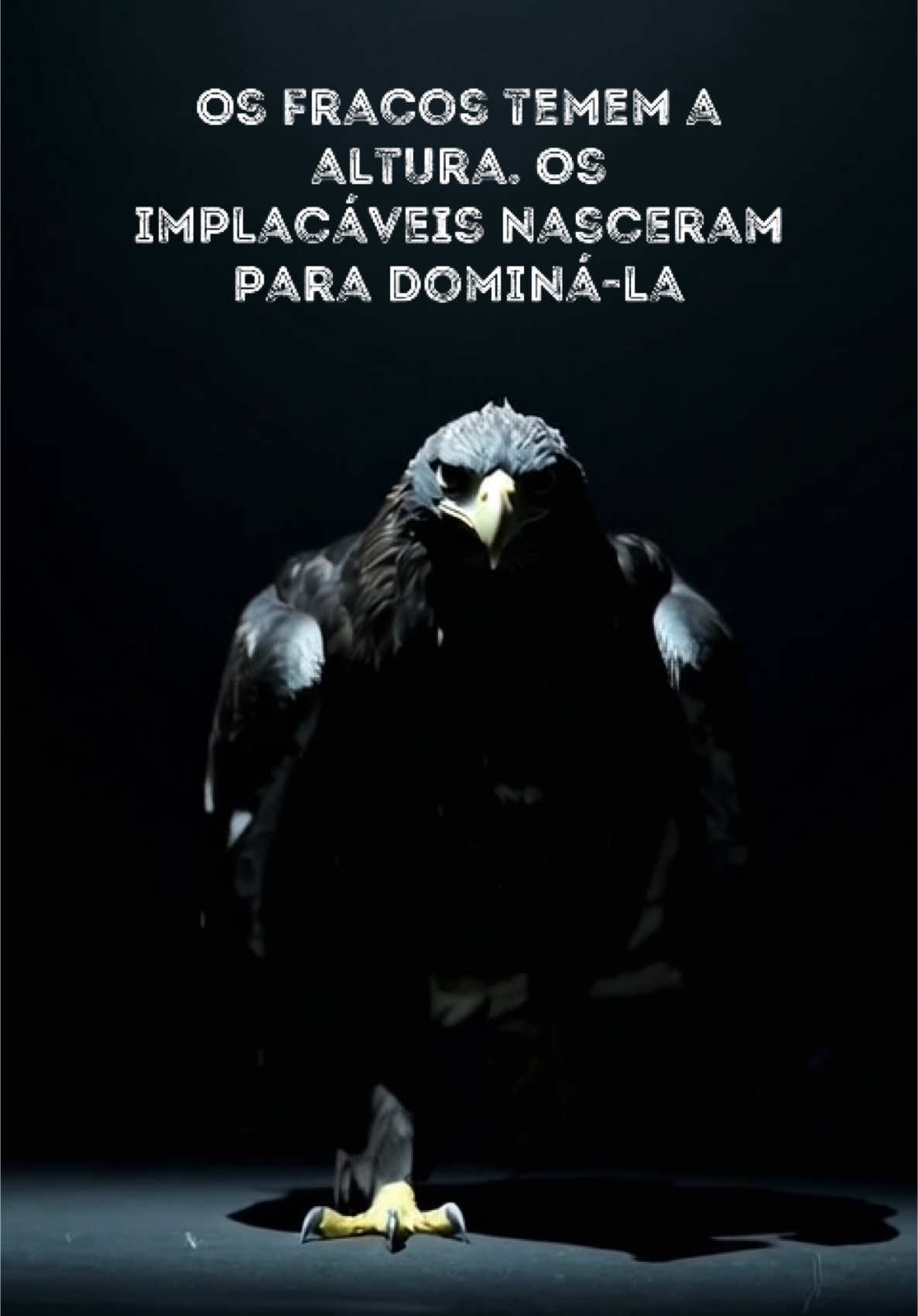 🦅🔥 A águia não foge da tempestade—ela a atravessa e se eleva. O medo pertence aos que vivem no chão. Os indomáveis ​​enxergam além e atacam sem hesitar. ⚫ Não recue. Domine. Seja incomparável. ⚫ #poderabsoluto #motivacao #autoconhecimento #sabedoria #frasesmotivacionais #determinacao #sabedoriadevida #forcainterior #poderinterior #autocomhecimento #superacaopessoal #reflexao #motivacaodiaria #motivacional #motivação 