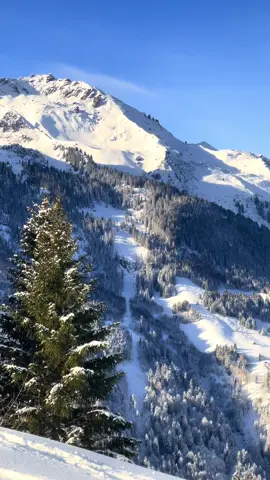 Snow day in the Swiss Alps 🩵❄️☃️  #naturephotography #Outdoors #naturevideo #swissalps #switzerland #nature #naturelove #mountains #Hiking #snow #wintervibes #switzerlandnature #winterwonderland #naturevibes 