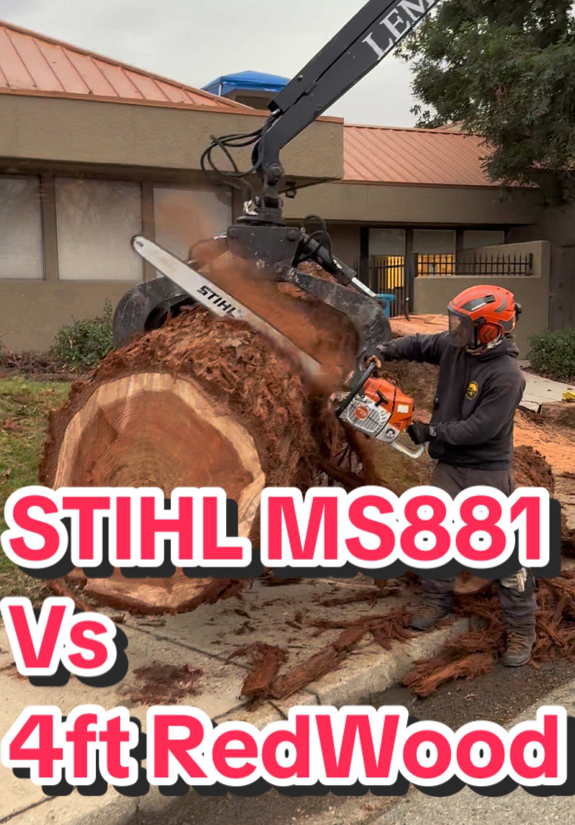 Replying to @Nathan Day569 Stihl Power….. #chainsawman #stihl881 #stihl #fypシ #treework #3120xp #redwood #chainsawmanedit #stihlusa #yubacity #grappletruck #bluecollar #hardestjobintheworld #dangerzone #fyp 