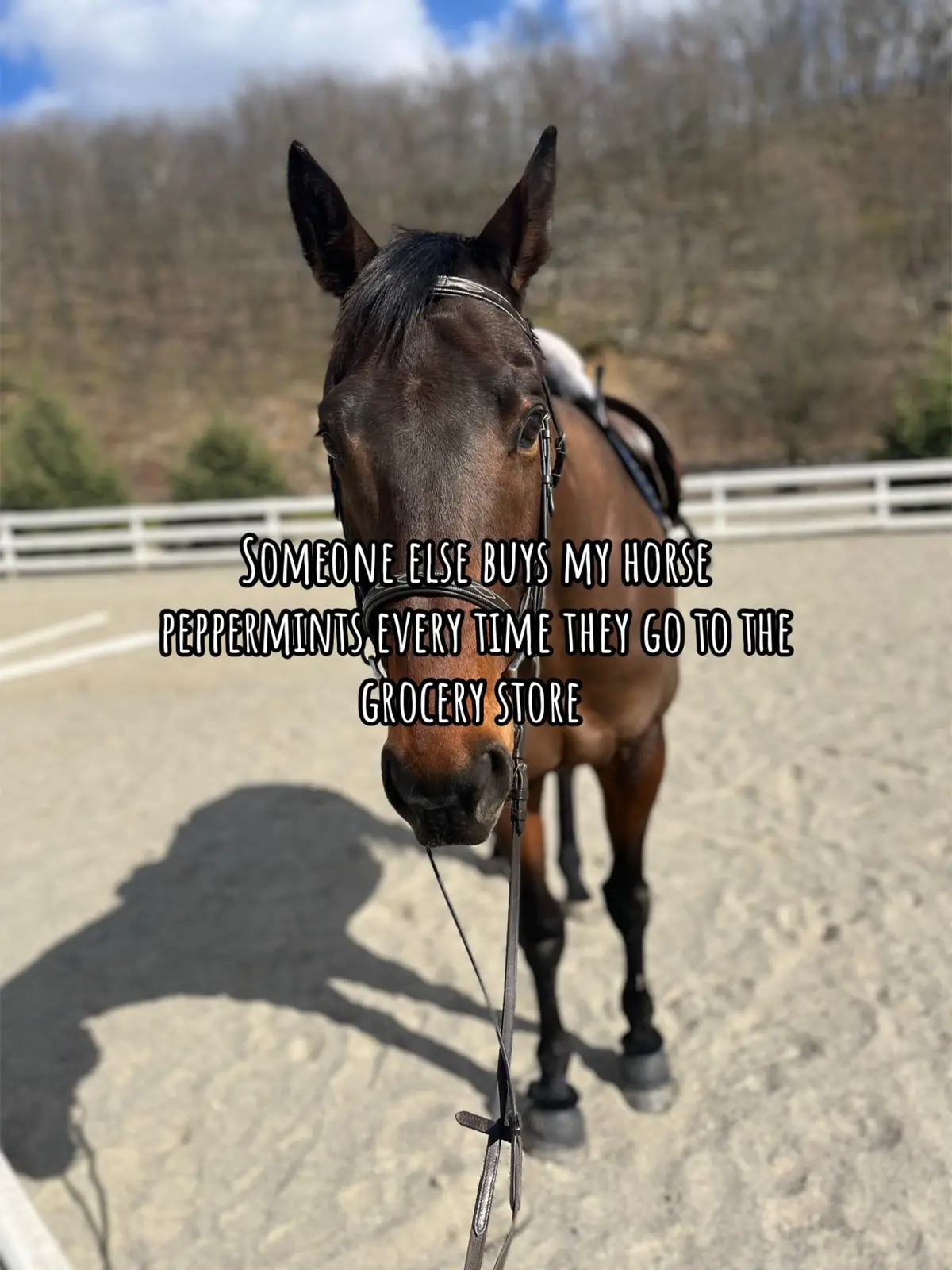 I know they taking such good care of you my sweet boy just missing you extra lately #fypppppppp #foryoupage❤️❤️ #fypシ゚viral🖤tiktok #fypppppppppppppp #fypシ #foryoupage #fyp 
