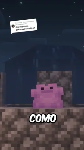 Respuesta a @gastonalbarao661  Capturando en Minecraft Cobblemon #minecrafttutorial #tutorialminecraft #cobblemon #cobblemonmod #minecraftbuilding #minecraftmemes #mods #modsdeminecraft #guide #paratii #pokemon #ditto #riolu #minecraftmods #maikelck 