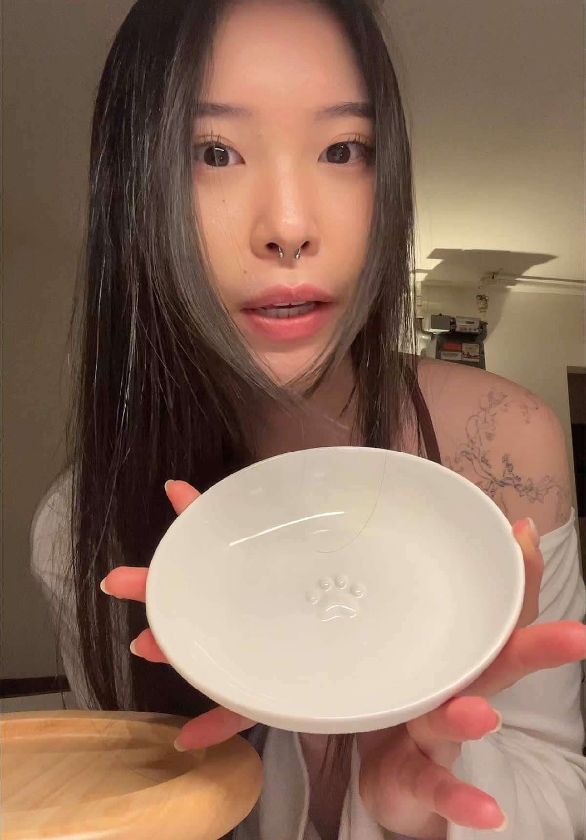 we love  @Allison 🌝 we all say in unison🙇🏻‍♀️🙇🏻‍♀️🙇🏻‍♀️ notice me i love you😔🙏  #allisonplate #catfood #catdinner 