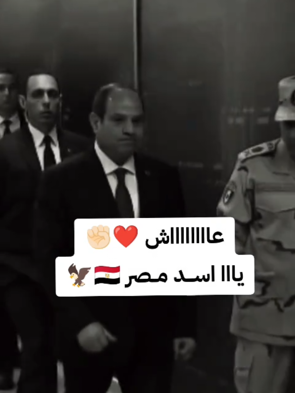 #اسد_اللهم_لا_حسد 🧿💪🏻 #كلنا_معاك ❤️🦅 #كلنا_معاك_ياسيسي 🫡✨ #كلنا_مع_فلسطين 🇵🇸✊🏻 #الهواشم515   #مشاهير_تيك_توك_مشاهير_العرب  #مشاهدات_تيك_توك  #الشعب_الصيني_ماله_حل😂😂  #creatorsearchinsights  #livefest2024 