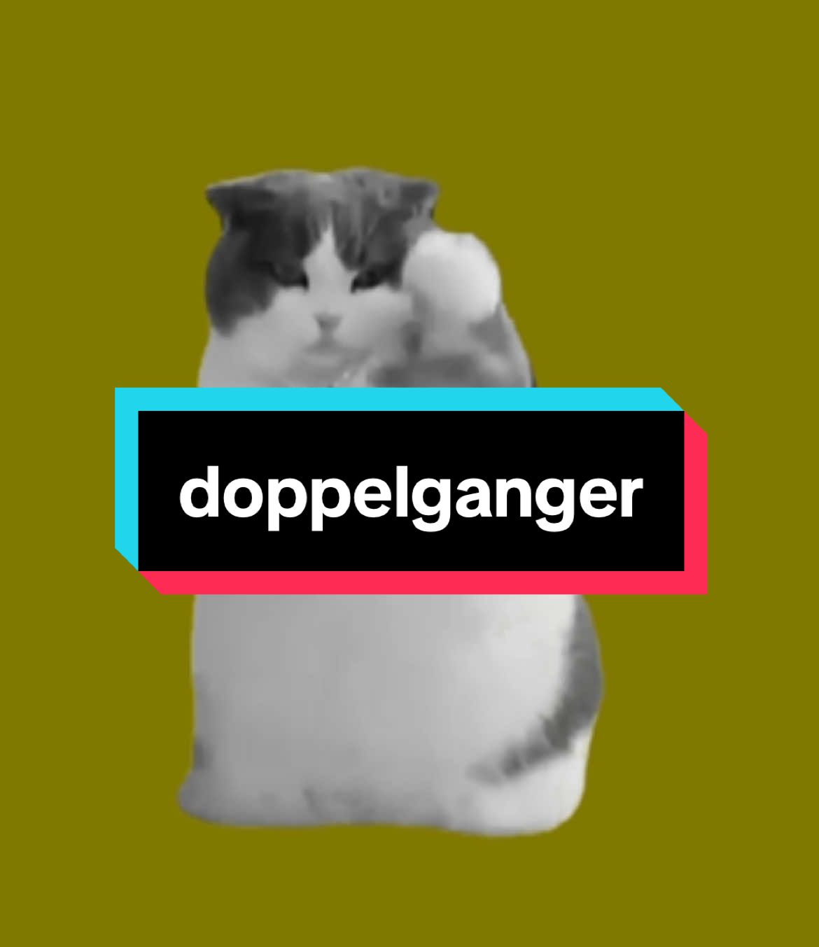 猫ミーム　×  doppelganger #猫ミーム #creepynuts #catmeme #doppelgänger 