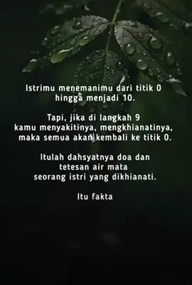 true and fact #quotestory #foryourpage #fyp #BeNice 