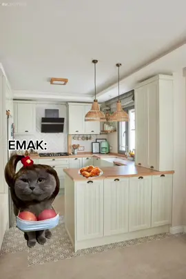 Siapa sangka?  #meme#kucinglucu#kucingtiktok#memekucing#memecat#fyp#viral