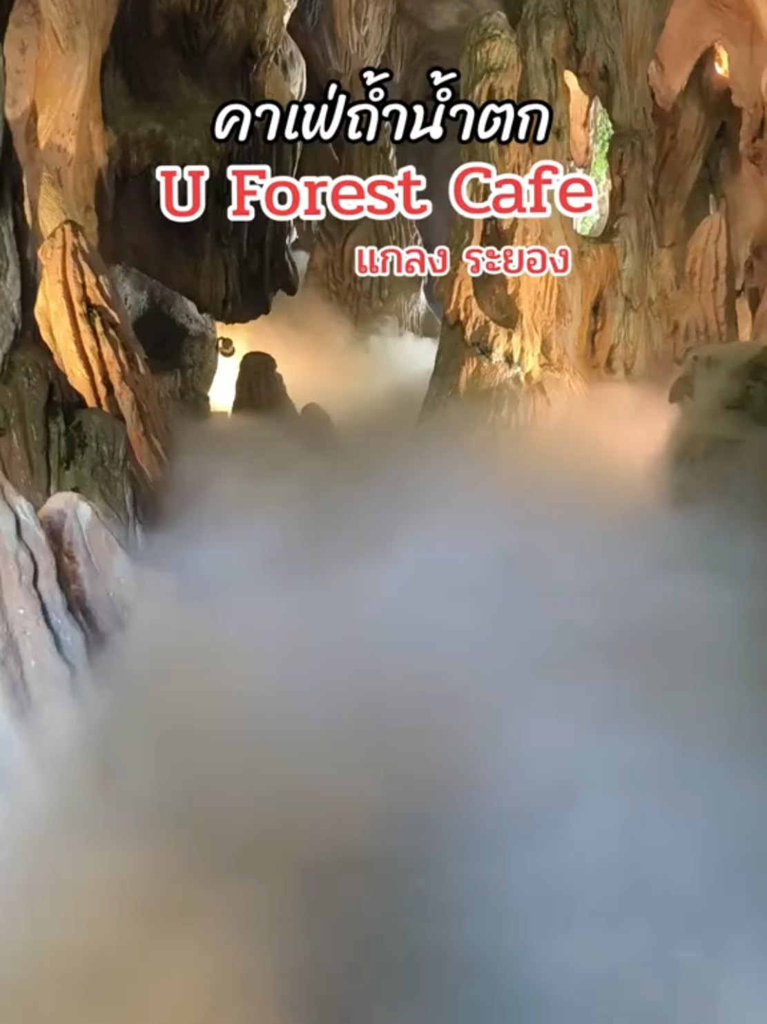 คาเฟ่ถ้ำน้ำตก U Forest Cafe อ.แกลง จ.ระยอง คาเฟ่น้ำตกใหญ่มากๆ ใต้น้ำตกมีถ้ำอยู่ด้านในเย็นสดชื่นธรรมชาติมาก กับต้นไม้นานาพรรณโบราณหลาย 100 ปี มีเมนูเครื่องดื่ม-อาหารทานเล่นหลายเมนู คาเฟ่ที่นี้Pet Friendly ที่คนรักสัตว์เลี้ยงด้วยนะ เปิดเวลา🕘10:00 - 19:00น.หยุดวันจันทร์ พิกัดคาเฟ่📍 U Forest Cafe อ.แกลง จ.ระยอง #ยูฟอเรสต์cafeจุดเช็คอินปากน้ําประแสร์ #uforestscafe #ระยอง #คาเฟ่ระยอง #คาเฟ่ #คาเฟ่สวย #แกลง #แกลงระยอง #เที่ยวระยอง #ทะเล #เที่ยวถ่ายไปมั่ว 