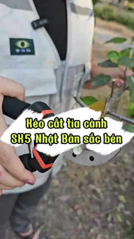 Kéo cắt tỉa cành SK5 Nhật Bản sắc bén #giadungtienich #coemthovuon #chiasekinhnghiem 