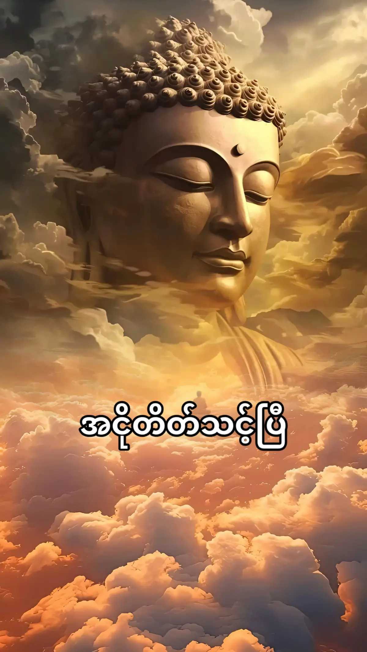 အငိုတိတ်သင့်ပြီ #တရားတော်များ #dhamma #buddha #viral #မေတ္တာခြုံ၍လုံပါစေသော်🙏🙏🙏 #ဓမ္မဒါန #fyp 