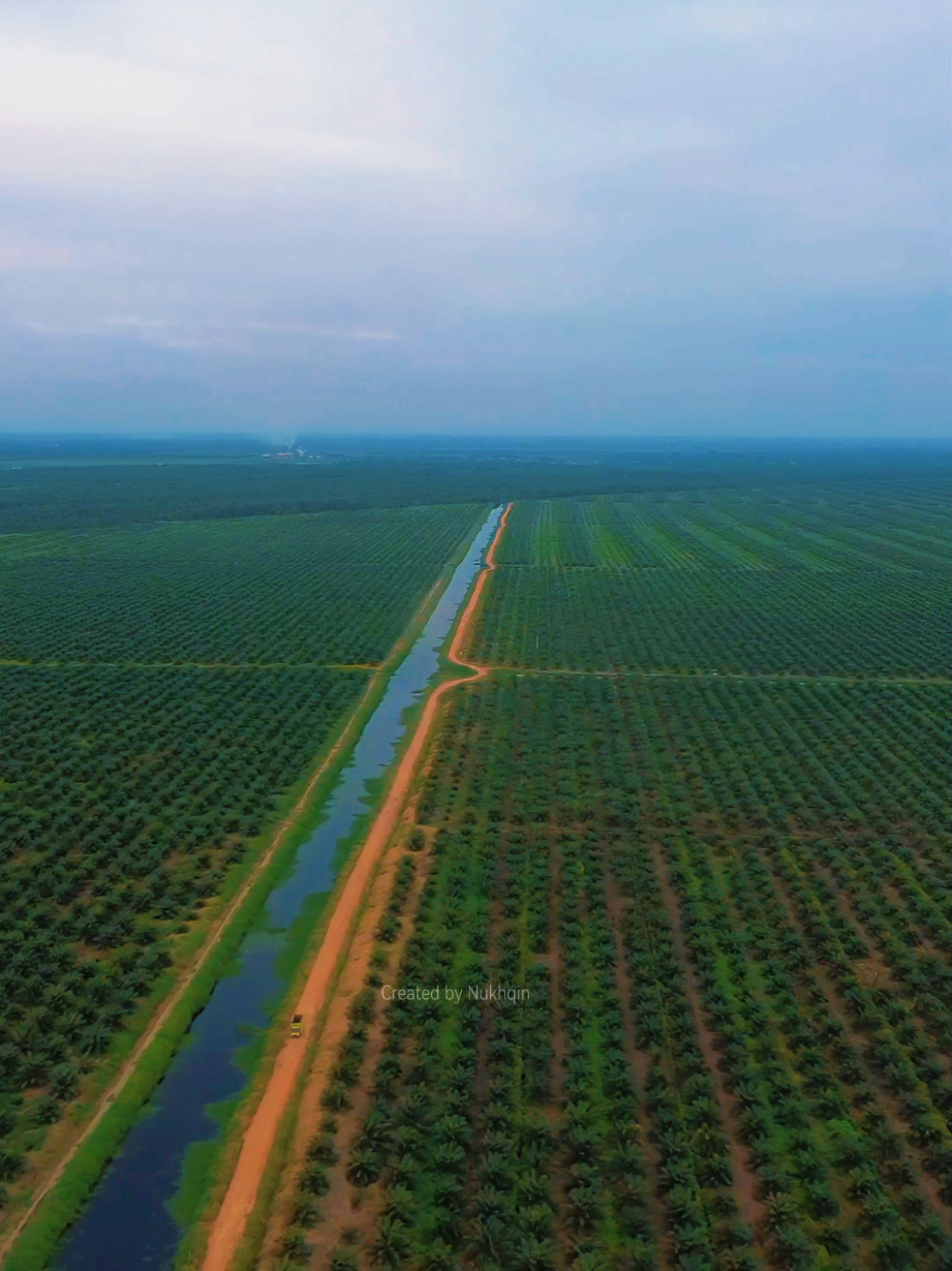 Impian sederhana seorang Petani🌴🌴🌴 #bossawit #bosmuda  #sawit #kebunsawit #riau #fyp 