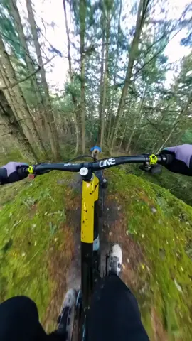 OUCH MY BALLS #biker #mountainbike #bikergirl #mountains #mtbgirl #motivation #mtb #mtblife #bikelife #bike #trail #downhill #mtbfail #adventure 