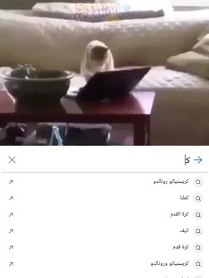 سوا جاكارو ايوة وبس