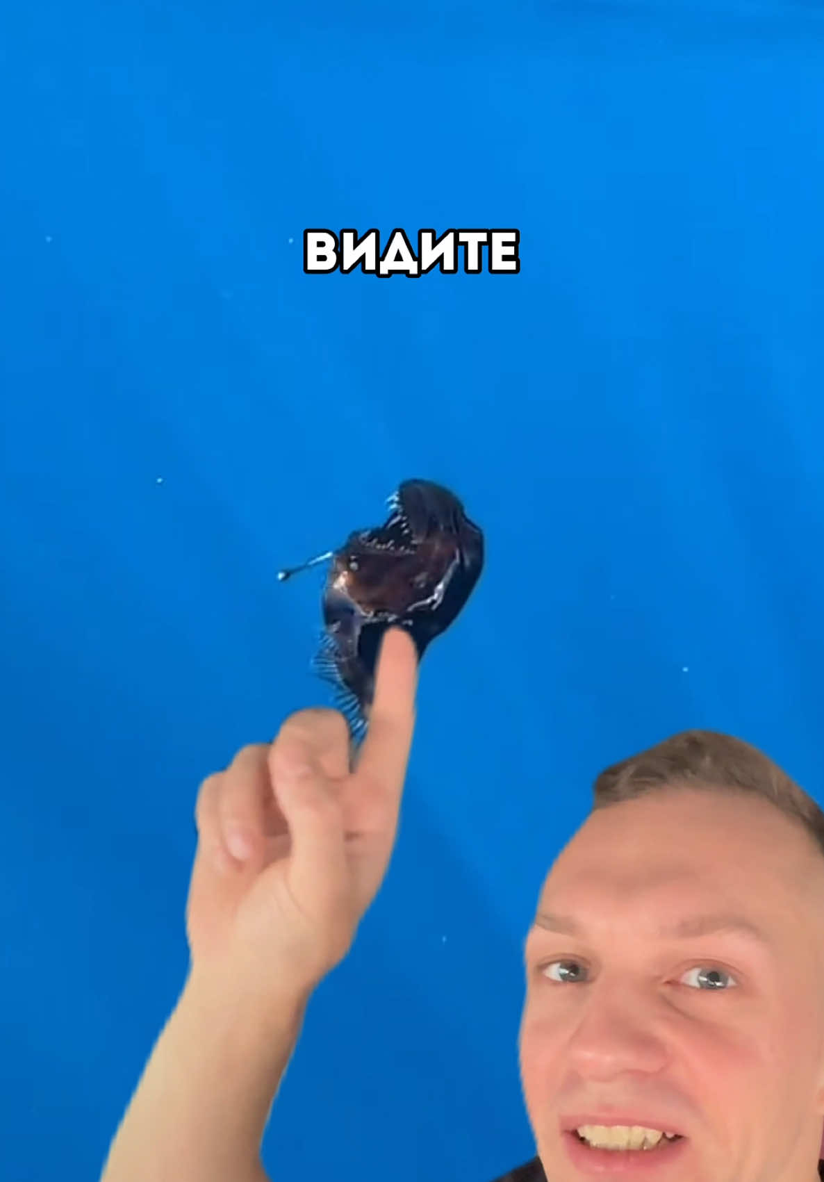 Больше я в воду не захожу 😵‍💫😐🐠