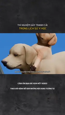 THÍ NGHIỆM GÂY TRANH CÃI TRONG LỊCH SỬ Y HỌC#Laernontiktok #xh #khampha #khoahoc 