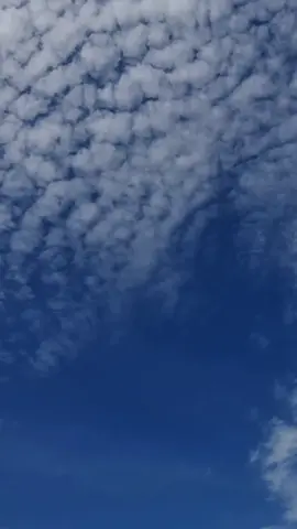 🤲🏼🤲🏼