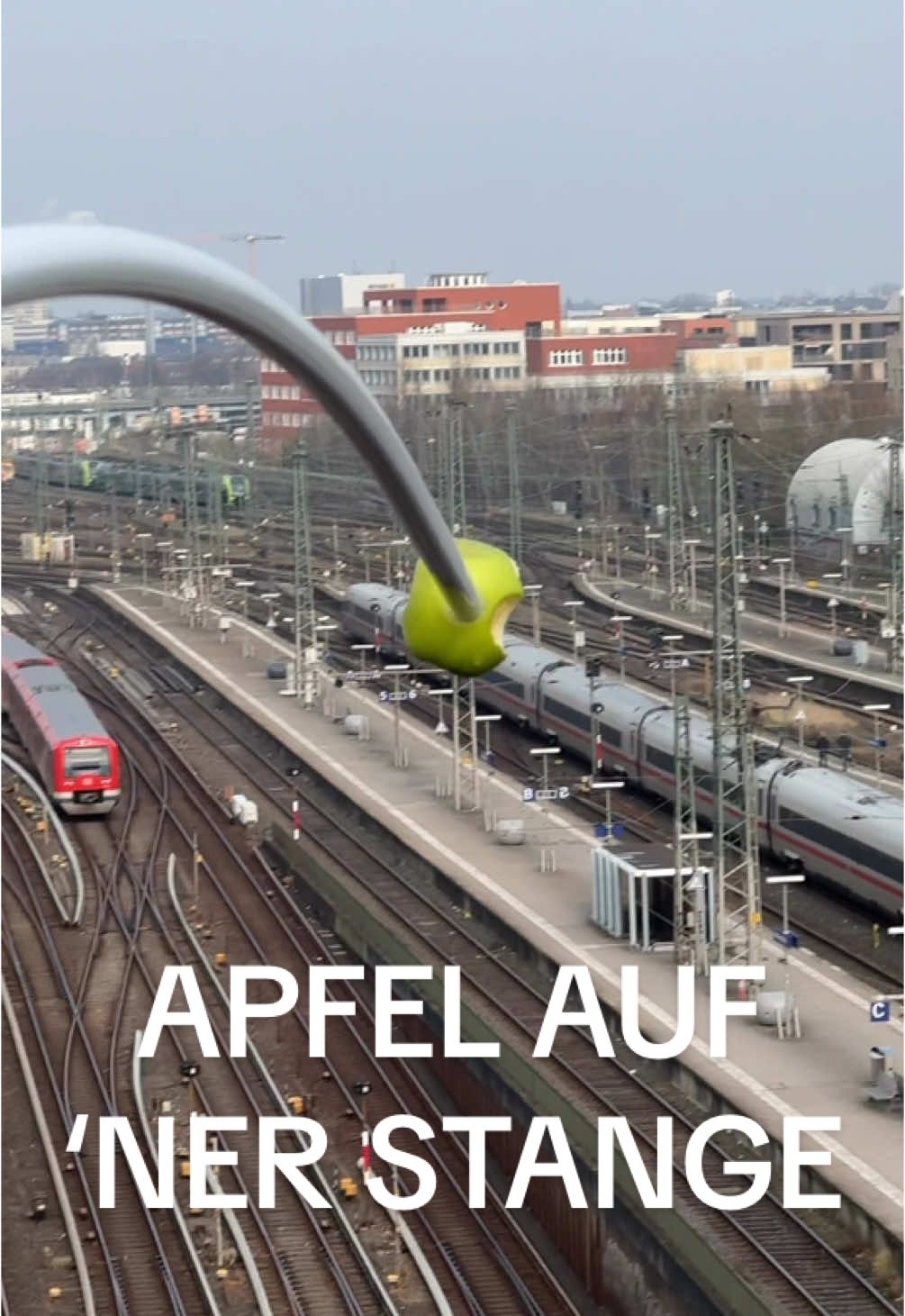 Tobi willst du meinen Apfel? 