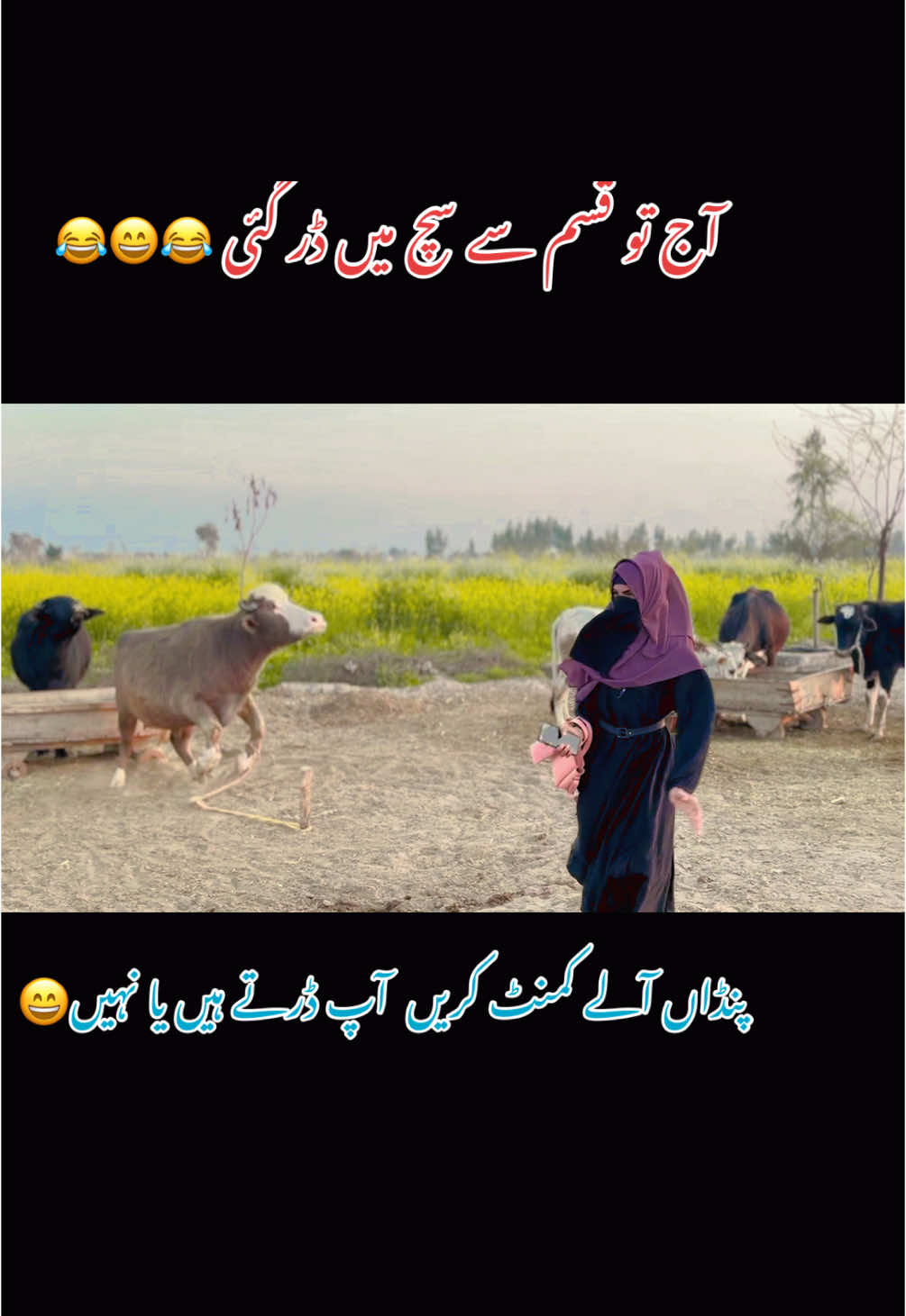 آج تو سچ میں پروگرام و ڑ گیا 😁😂😂😂 - - - - - #