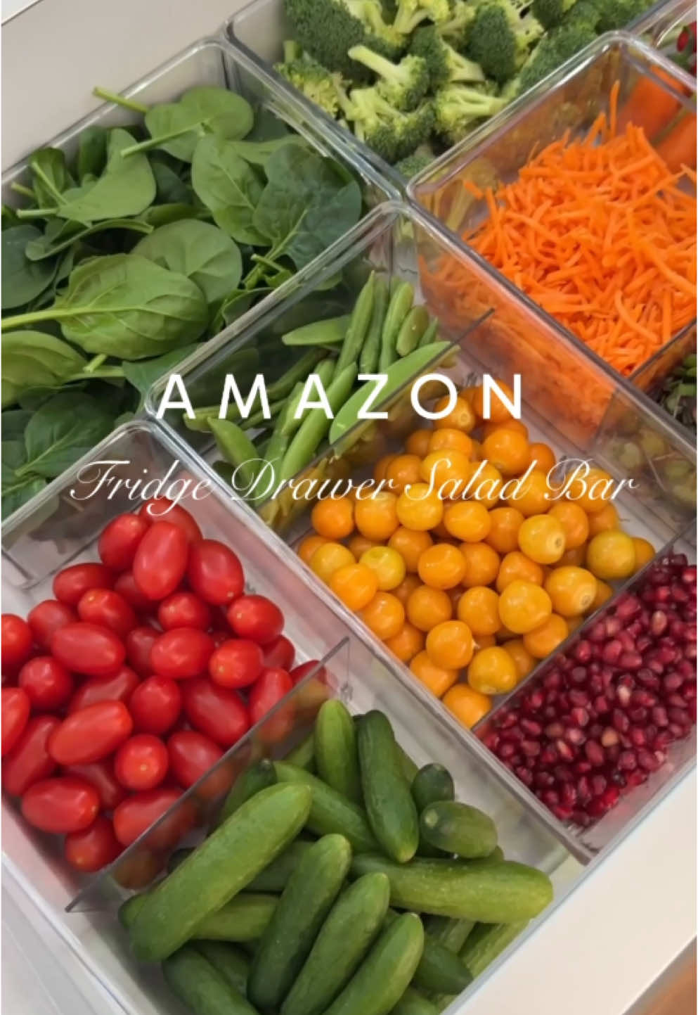 I loved the idea of having a dedicated space for a salad bar in my fridge so that I can quickly make a fresh salad for lunch☺️ I have 60 of my favorite refrigerator organizers linked on my Amazon Store in bio.  #amazonfinds #fridgeorganization #sosatisfying #stayorganized restock #organizedhome how to organize your home, fridge organizer 