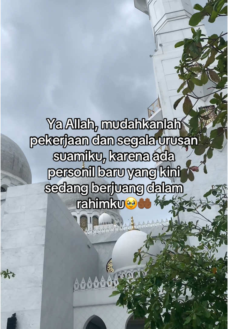 aamiin🥺🫶🏼 #fyp #fypシ #quotessuamiistri #bumil #ibuhamil #suamiistri #doa 