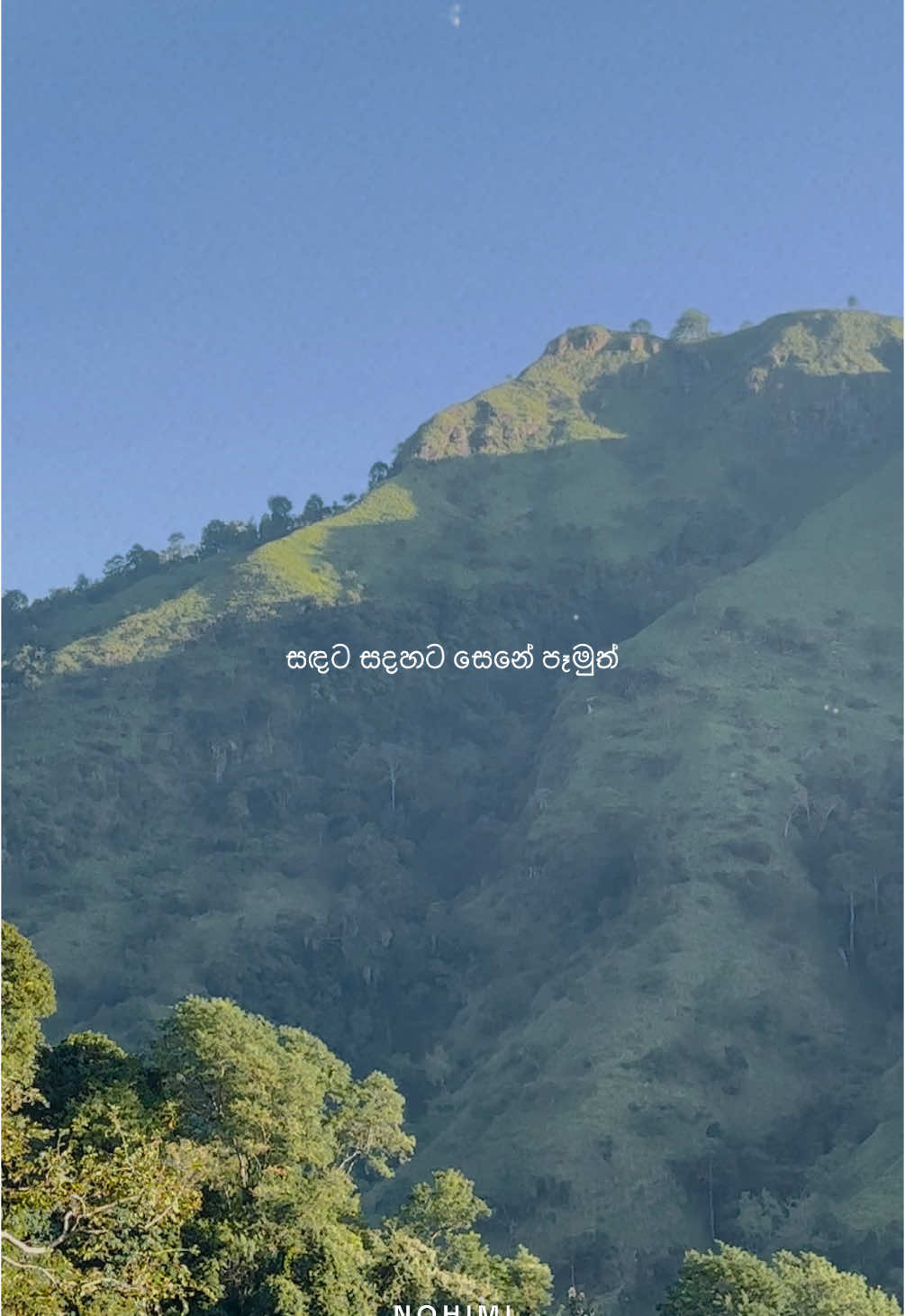 ඇති තරම් අහන් ඉන්න පුළුවන් සිංදු 🥺🥹 #NOHIMI #නොහිමි #nohimi #tiktok #tiktoktainment #whattowatch #blessed #sl #srilanka #fyp #foryou #whatsappstatus #oldsongs #emotionalstory #whatsapp #status #sinhalastatusvideo #sinhala #500k #Love #gahakamalpipila 