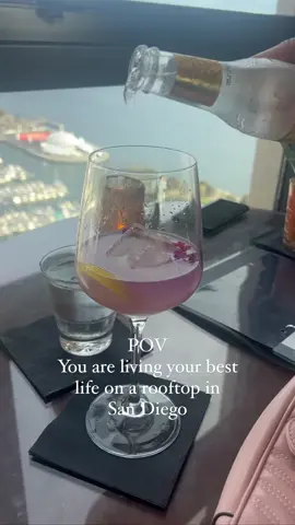 I am shocked I had never been to this rooftop bar in Downtown San Diego. The top of the Hyatt overlooks our beautiful bay and even has views of Coronado Island. Such a must for happy hour! #sandiegolocal #sandiego #seaportvillage #sandiegoliving #sandiegohappyhour #sandiegogram #socalliving #socaltravels #sandiegofoodie #sandiegocalifornia #socalfoodie #sandiegoblogger