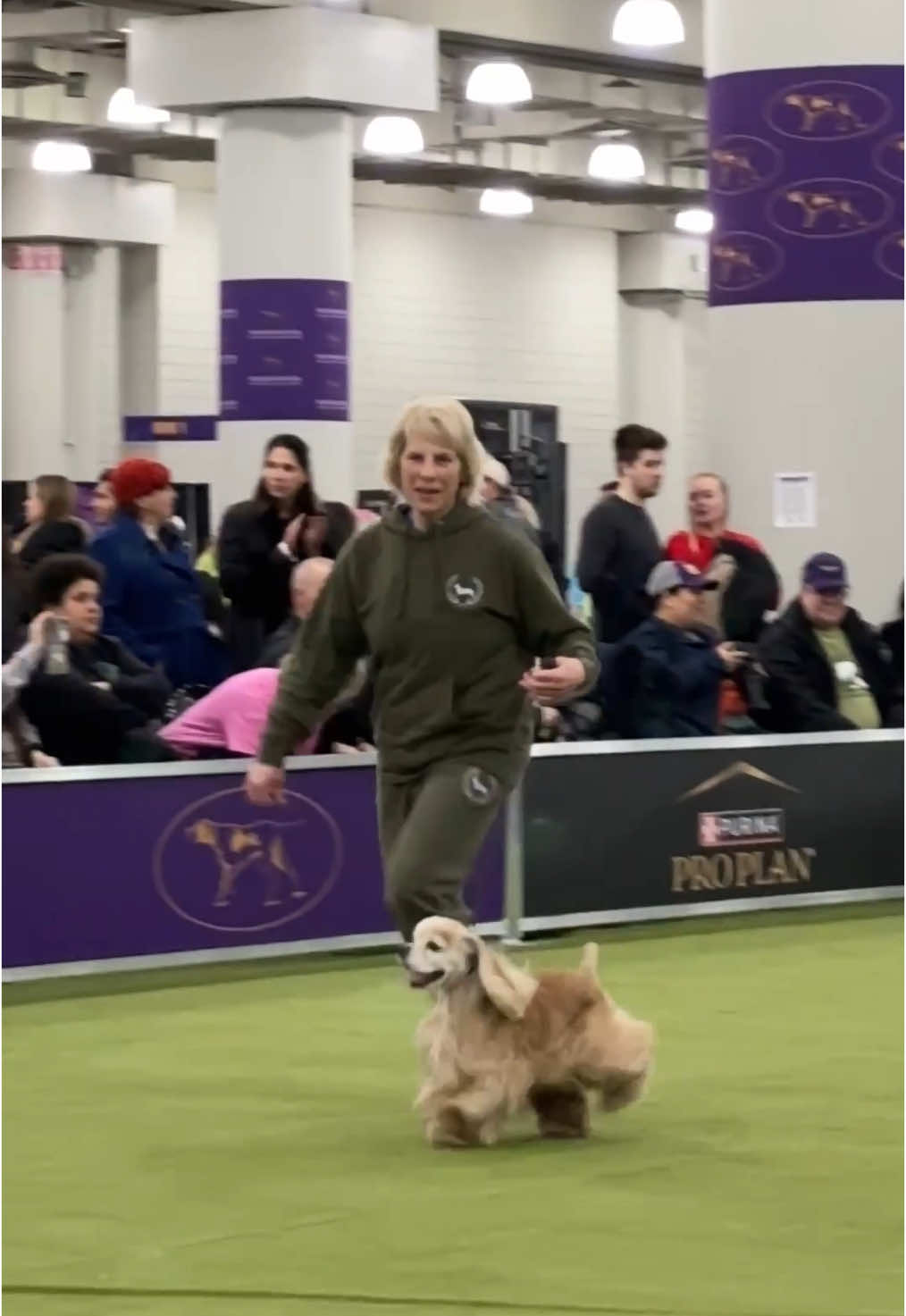 Time to strut our stuff! We’re showcasing some of the finest dogs around. #WestminsterDogShow