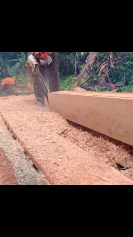#chainsawmill #chainsawskills #stihlms070 #woodenboard #oldstihl #treecut 
