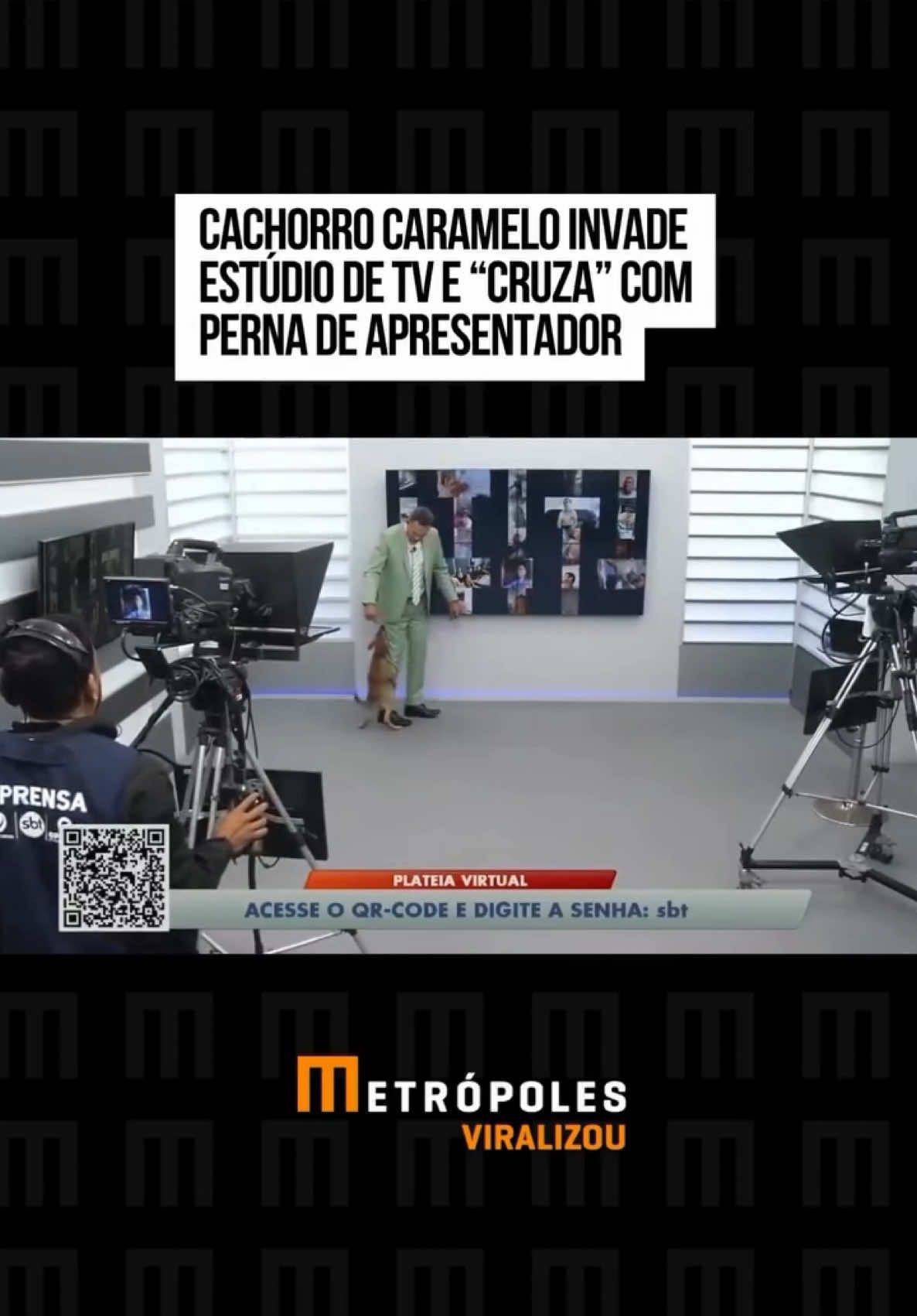 O apresentador Fábio Araújo, que comanda o Plantão Alagoas, da #TVPontaVerde, afiliada do #SBT, passou por uma situação para lá de inusitada na última sexta-feira (8/2). Enquanto o jornalista comandava a atração, um cachorro caramelo invadiu o estúdio e tentou cruzar com sua perna. Além da reação de Araújo, o câmera também chamou bastante atenção. Ele caiu na risada com a situação e até focou no cachorro. #EntretêNews