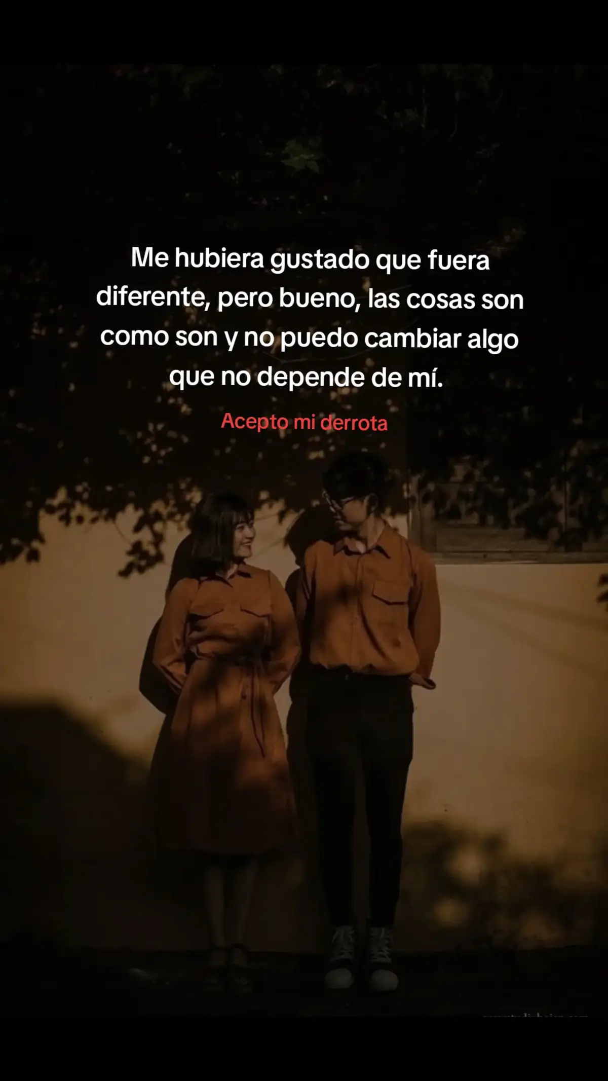 Lo hice, te perdí.🤍 #parati #frases #paratii #dedicar #novia 