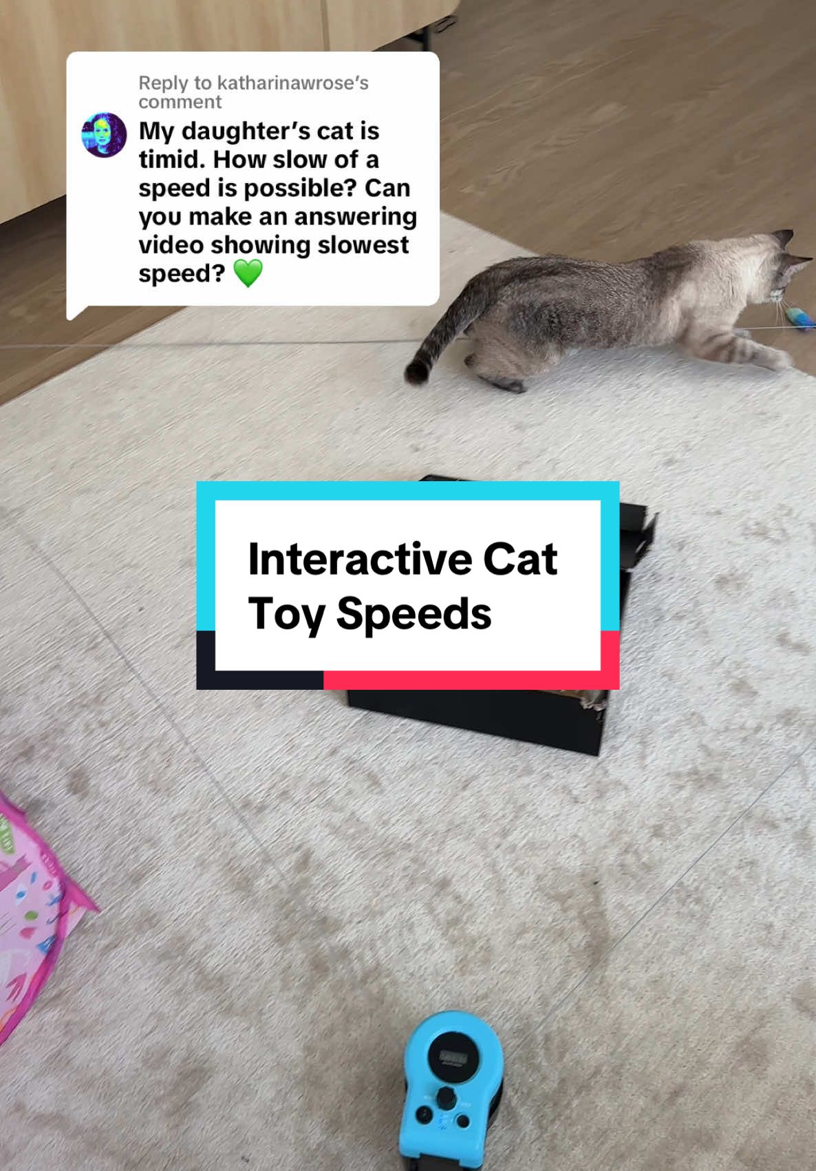 Replying to @katharinawrose here are the different speed options on this interactive cat toy! #cattoys #interactivecattoy #coursingcattoy #catessentials #cat #boredcat 
