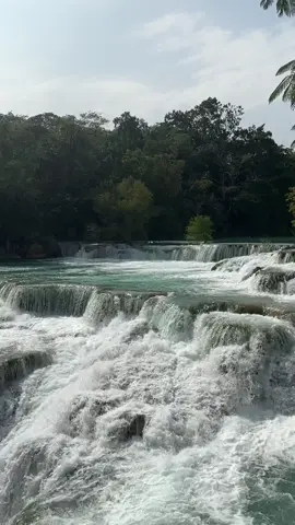 Es que mi Huasteca Potosina es preciosa 😍  #HuastecaPotosina #CascadaDelMeco #CascadaDelSalto #ElNaranjo #SLP #Naturaleza #fyppppppppppppppppppppppp 