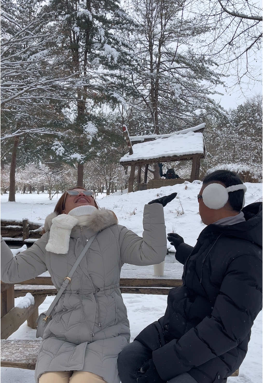 Nami Island in winter. Sooo magical ❄️🥹 #namiisland #seoul #southkorea #snow #winter #wintervibes 