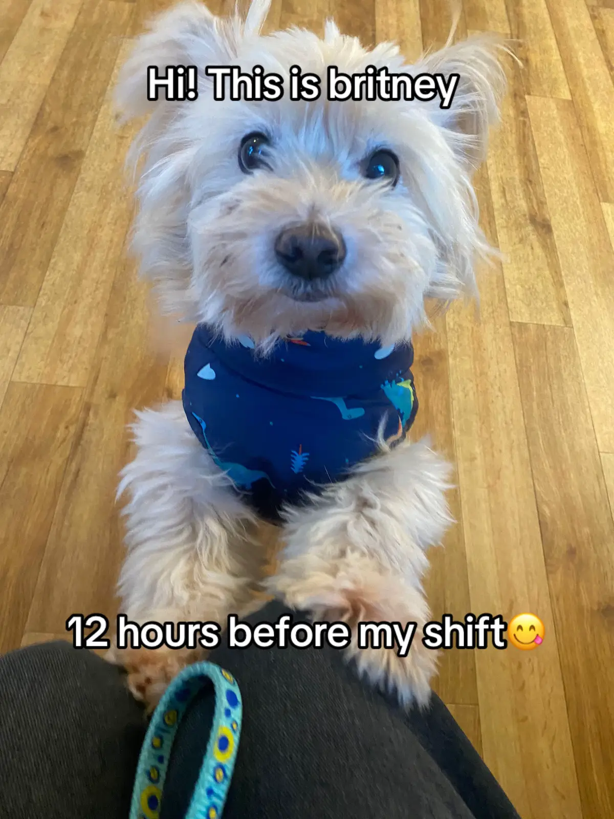 I can only joke about it now that he’s okay but it wasn’t funny , had me thinking it was the wrong dog💀  #dog #surgery #goofy #funny #wth #britney #crusty #fyp #foryou #viral #video #politics 
