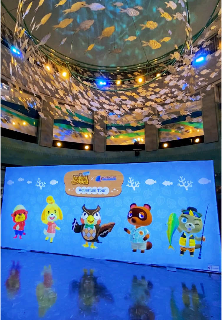 So happy I got to visit the animal crossing aquarium tour 🐠🩵✨ #animalcrossing #animalcrossingnewhorizons #fyp #aquarium 