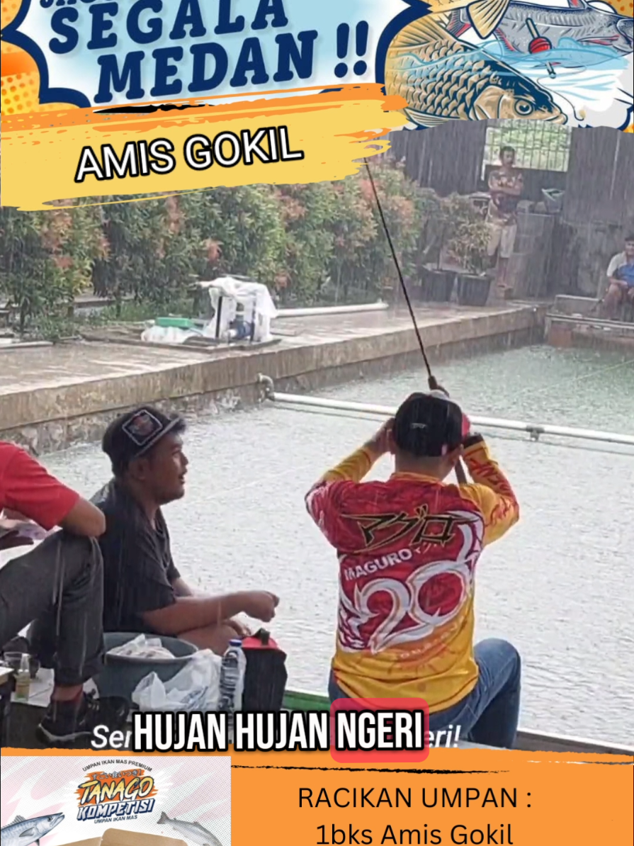 Racikan Umpan Ikan Mas Untuk Musim Hujan #tanagokompetisi 